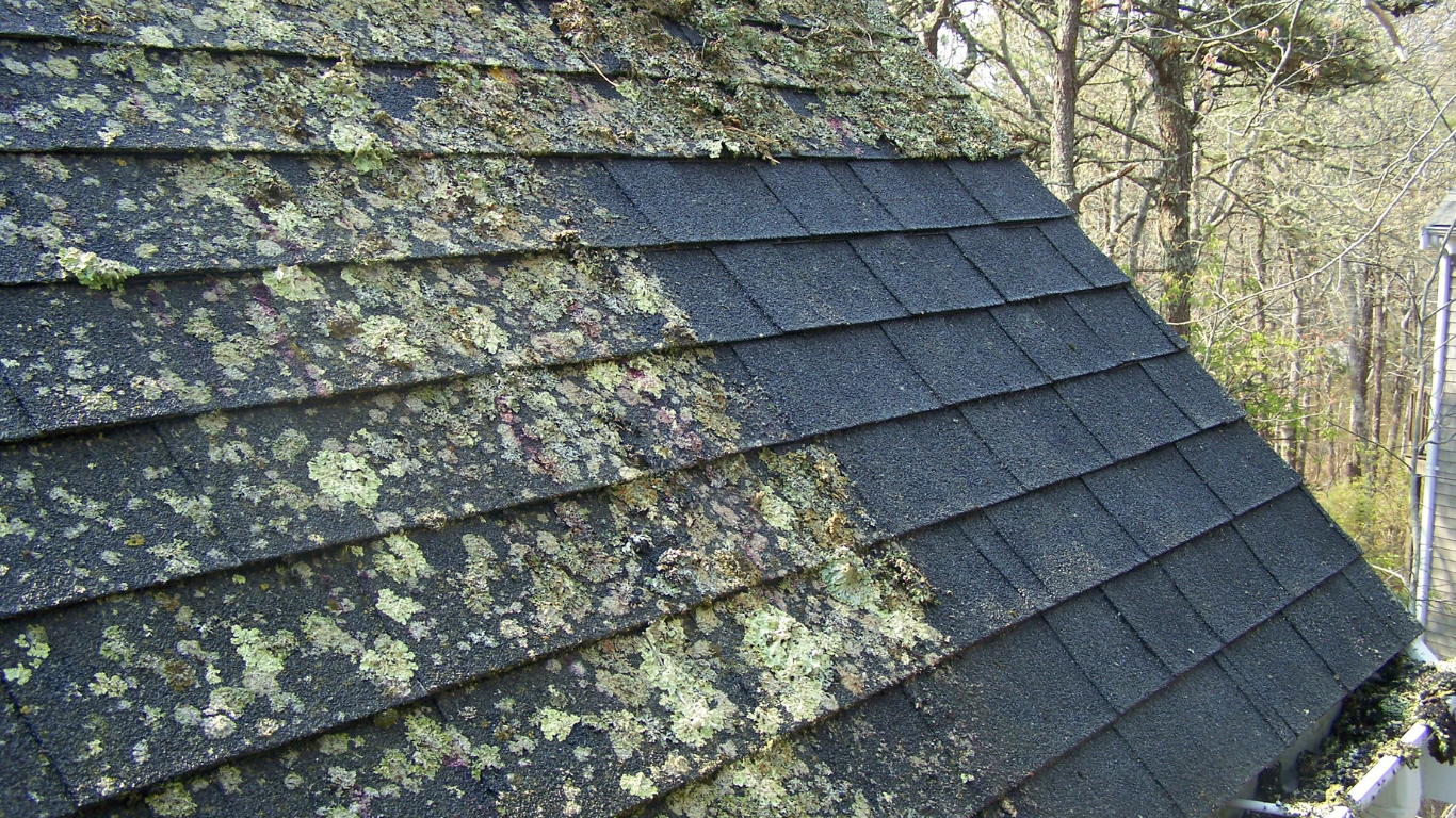 cape cod roof cleaning