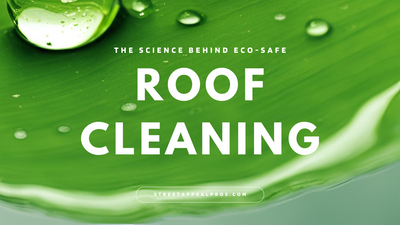 The Science Behind Roof Cleaning: Why It Matters for Cape Cod Homes