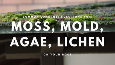 Protect Your Cape Cod Home: How to Handle Moss, Mold, Algae, and Lichen on Your Roof