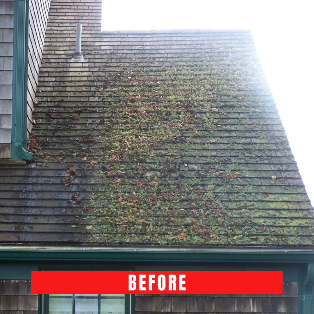 Cedar shingle cleaning Cape Cod,
Shake house cleaning Cape Cod,
Clapboard house washing Cape Cod,
Cape Cod cedar shingle maintenance,
Shake siding cleaning service Cape Cod,
Cedar shingle restoration Cape Cod,
Cape Cod clapboard siding cleaners,
Cedar shake roof cleaning Cape Cod,
Clapboard house pressure washing Cape Cod,
Cape Cod cedar shingle power washing,
Shake shingle house cleaners Cape Cod,
Cedar shingle roof maintenance Cape Cod,
Cape Cod clapboard siding washing,
Cedar shake shingle house cleaning,
Clapboard siding restoration Cape Cod,
Cape Cod cedar shingle soft washing,
Shake shingle roof cleaning Cape Cod,
Cedar shingle siding cleaning service,
Clapboard house exterior cleaning Cape Cod,
Cape Cod cedar shake siding cleaners,
Cedar shake house wash Cape Cod,
Cape Cod clapboard siding maintenance,
Cedar shingle roof washing Cape Cod,
Shake shingle siding cleaning Cape Cod,
Clapboard house power washing Cape Cod,
Cape Cod cedar shingle pressure washing,
Cedar shake siding cleaning Cape Cod,
Cape Cod clapboard house cleaning service,
Cedar shingle house wash Cape Cod,
Shake shingle house washing Cape Cod,
Clapboard siding cleaning Cape Cod,
Cape Cod cedar shingle roof cleaning,
Shake shingle roof washing Cape Cod,
Cedar shingle siding washing Cape Cod,
Clapboard house soft washing Cape Cod,
Cape Cod cedar shake house cleaning,
Cedar shake roof washing Cape Cod,
Cape Cod clapboard siding cleaning service,
Cedar shingle exterior cleaning Cape Cod,
Shake shingle siding washing Cape Cod,
Clapboard house soft wash Cape Cod,
Cape Cod cedar shingle house cleaners,
Shake shingle house cleaning service Cape Cod,
Cedar shingle siding maintenance Cape Cod,
Clapboard house exterior washing Cape Cod,
Cape Cod cedar shake siding washing,
Cedar shake house cleaning service Cape Cod,
Cape Cod clapboard house washing,
Cedar shingle pressure washing Cape Cod,
Shake shingle siding maintenance Cape Cod.