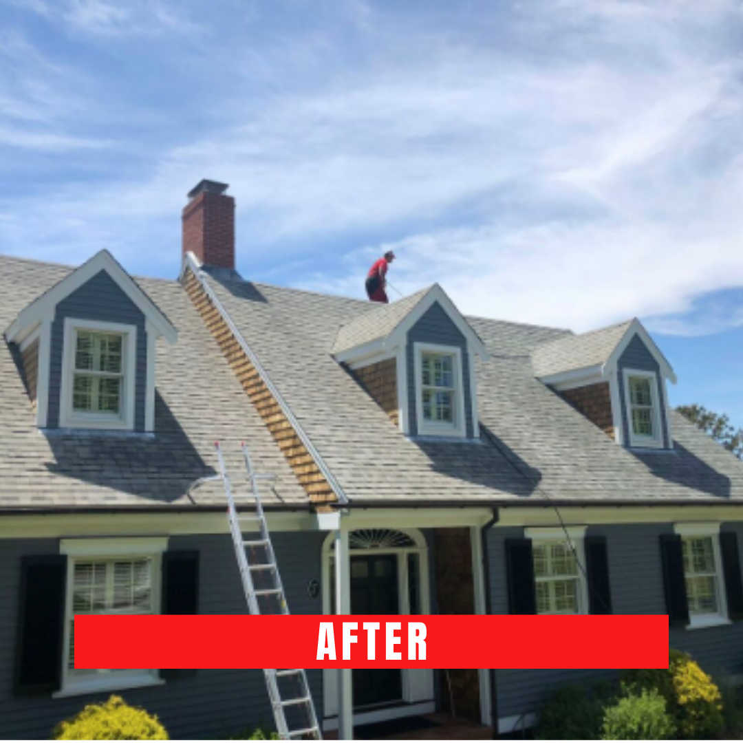 Cape Cod roof cleaning
Roof cleaner Cape Cod
Best roof cleaner in Cape Cod
Cape Cod roof washing
Roof cleaning service Cape Cod
Cape Cod roof cleaning company
Professional roof cleaner Cape Cod
Eco-friendly roof cleaning Cape Cod
Top-rated roof cleaner Cape Cod
Cape Cod roof moss removal
Cedar roof cleaning Cape Cod
Roof and gutter cleaning Cape Cod
Cape Cod roof mold removal
Safe roof cleaning Cape Cod
Best roof washing in Cape Cod
Cape Cod soft roof washing
Cape Cod power roof cleaning
Cape Cod roof stain removal
Roof cleaning contractors Cape Cod
Cape Cod roof maintenance
Affordable roof cleaner Cape Cod
Cape Cod residential roof cleaning
Cape Cod commercial roof cleaner
Roof shingle cleaning Cape Cod
Cape Cod roof algae removal
Cape Cod roof cleaning estimate
Roof cleaner cost Cape Cod
Cape Cod roof pressure washing
Local roof cleaner Cape Cod
Cape Cod roof cleaning specials
Cape Cod roof cleaning reviews
Best roof cleaner service in Cape Cod
Cape Cod roof restoration
Cape Cod exterior roof cleaning
Cape Cod green roof cleaner
Cape Cod roof cleaning deals
Cape Cod roof disinfection
Roof cleaning equipment Cape Cod
Cape Cod roof cleaner consultation
Cape Cod roof cleaning maintenance
Cape Cod roof cleaner expert
Cape Cod roof cleaning solutions
Roof cleaner for hire Cape Cod
Cape Cod roof cleaner professional
Cape Cod roof cleaner near me
Certified roof cleaner Cape Cod
Cape Cod roof cleaner technology
Cape Cod roof cleaner consultation
Cape Cod roof cleaner inspection
Roof cleaner for hire Cape Cod