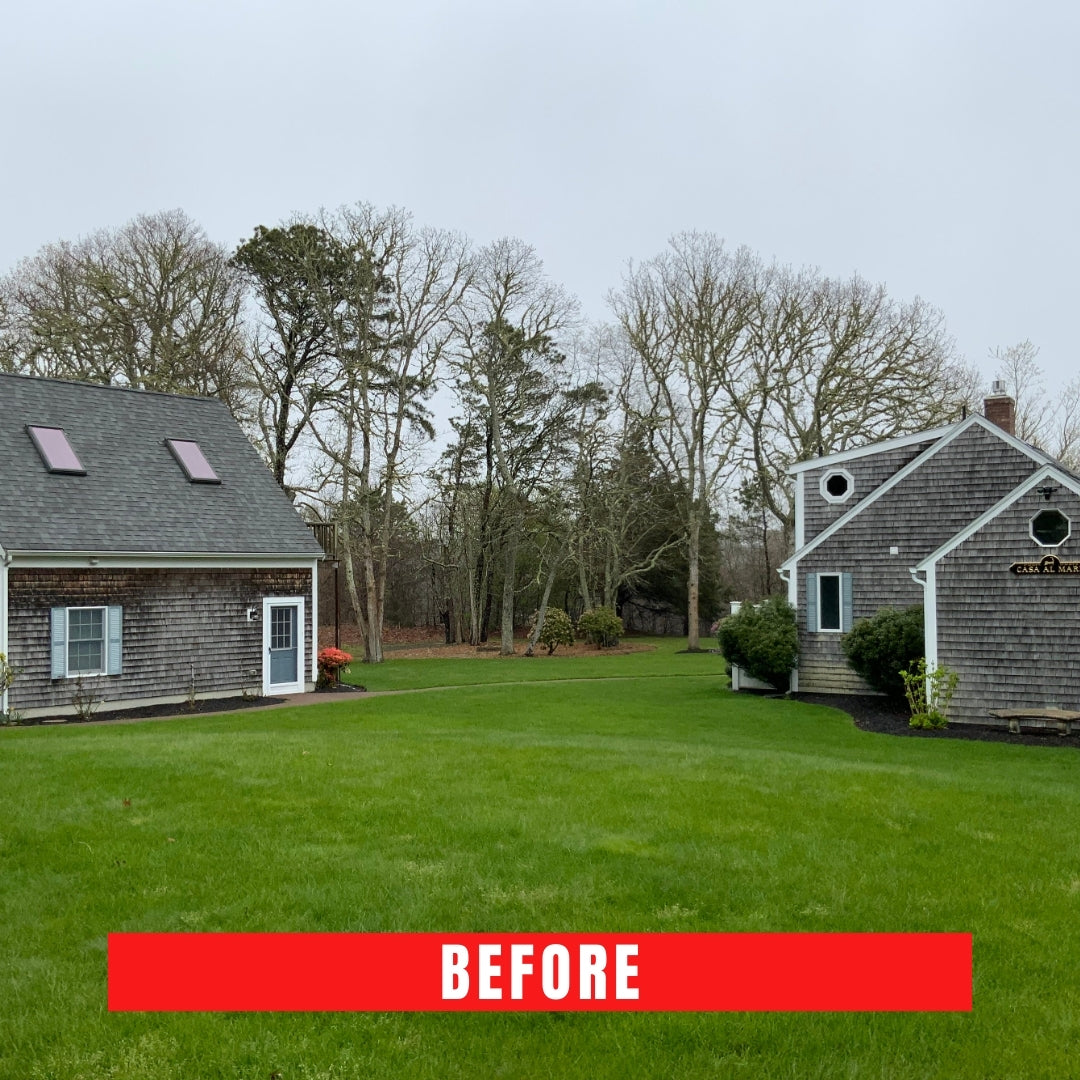 Cedar shingle cleaning Cape Cod,
Shake house cleaning Cape Cod,
Clapboard house washing Cape Cod,
Cape Cod cedar shingle maintenance,
Shake siding cleaning service Cape Cod,
Cedar shingle restoration Cape Cod,
Cape Cod clapboard siding cleaners,
Cedar shake roof cleaning Cape Cod,
Clapboard house pressure washing Cape Cod,
Cape Cod cedar shingle power washing,
Shake shingle house cleaners Cape Cod,
Cedar shingle roof maintenance Cape Cod,
Cape Cod clapboard siding washing,
Cedar shake shingle house cleaning,
Clapboard siding restoration Cape Cod,
Cape Cod cedar shingle soft washing,
Shake shingle roof cleaning Cape Cod,
Cedar shingle siding cleaning service,
Clapboard house exterior cleaning Cape Cod,
Cape Cod cedar shake siding cleaners,
Cedar shake house wash Cape Cod,
Cape Cod clapboard siding maintenance,
Cedar shingle roof washing Cape Cod,
Shake shingle siding cleaning Cape Cod,
Clapboard house power washing Cape Cod,
Cape Cod cedar shingle pressure washing,
Cedar shake siding cleaning Cape Cod,
Cape Cod clapboard house cleaning service,
Cedar shingle house wash Cape Cod,
Shake shingle house washing Cape Cod,
Clapboard siding cleaning Cape Cod,
Cape Cod cedar shingle roof cleaning,
Shake shingle roof washing Cape Cod,
Cedar shingle siding washing Cape Cod,
Clapboard house soft washing Cape Cod,
Cape Cod cedar shake house cleaning,
Cedar shake roof washing Cape Cod,
Cape Cod clapboard siding cleaning service,
Cedar shingle exterior cleaning Cape Cod,
Shake shingle siding washing Cape Cod,
Clapboard house soft wash Cape Cod,
Cape Cod cedar shingle house cleaners,
Shake shingle house cleaning service Cape Cod,
Cedar shingle siding maintenance Cape Cod,
Clapboard house exterior washing Cape Cod,
Cape Cod cedar shake siding washing,
Cedar shake house cleaning service Cape Cod,
Cape Cod clapboard house washing,
Cedar shingle pressure washing Cape Cod,
Shake shingle siding maintenance Cape Cod.