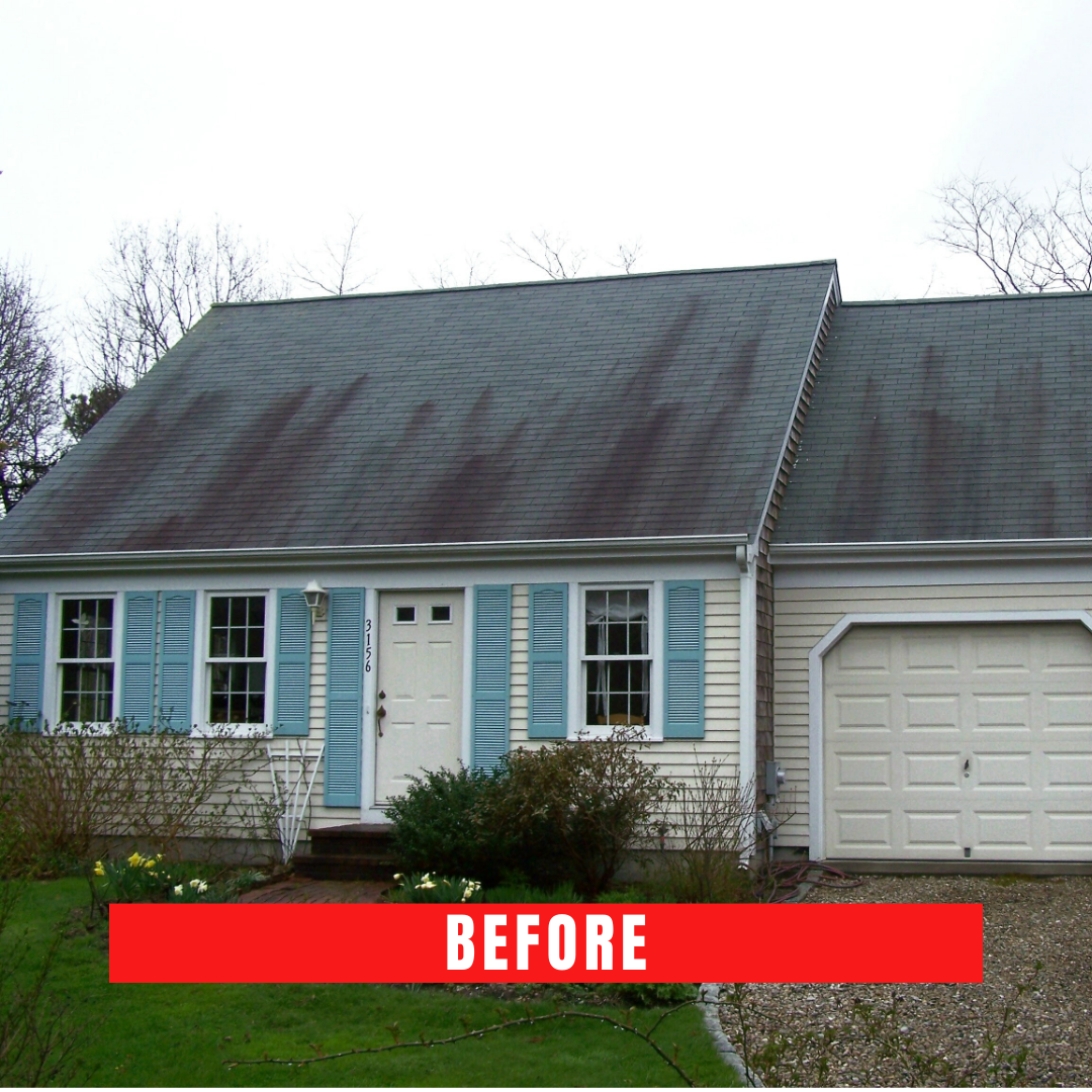 Cape Cod roof cleaning
Roof cleaner Cape Cod
Best roof cleaner in Cape Cod
Cape Cod roof washing
Roof cleaning service Cape Cod
Cape Cod roof cleaning company
Professional roof cleaner Cape Cod
Eco-friendly roof cleaning Cape Cod
Top-rated roof cleaner Cape Cod
Cape Cod roof moss removal
Cedar roof cleaning Cape Cod
Roof and gutter cleaning Cape Cod
Cape Cod roof mold removal
Safe roof cleaning Cape Cod
Best roof washing in Cape Cod
Cape Cod soft roof washing
Cape Cod power roof cleaning
Cape Cod roof stain removal
Roof cleaning contractors Cape Cod
Cape Cod roof maintenance
Affordable roof cleaner Cape Cod
Cape Cod residential roof cleaning
Cape Cod commercial roof cleaner
Roof shingle cleaning Cape Cod
Cape Cod roof algae removal
Cape Cod roof cleaning estimate
Roof cleaner cost Cape Cod
Cape Cod roof pressure washing
Local roof cleaner Cape Cod
Cape Cod roof cleaning specials
Cape Cod roof cleaning reviews
Best roof cleaner service in Cape Cod
Cape Cod roof restoration
Cape Cod exterior roof cleaning
Cape Cod green roof cleaner
Cape Cod roof cleaning deals
Cape Cod roof disinfection
Roof cleaning equipment Cape Cod
Cape Cod roof cleaner consultation
Cape Cod roof cleaning maintenance
Cape Cod roof cleaner expert
Cape Cod roof cleaning solutions
Roof cleaner for hire Cape Cod
Cape Cod roof cleaner professional
Cape Cod roof cleaner near me
Certified roof cleaner Cape Cod
Cape Cod roof cleaner technology
Cape Cod roof cleaner consultation
Cape Cod roof cleaner inspection
Roof cleaner for hire Cape Cod