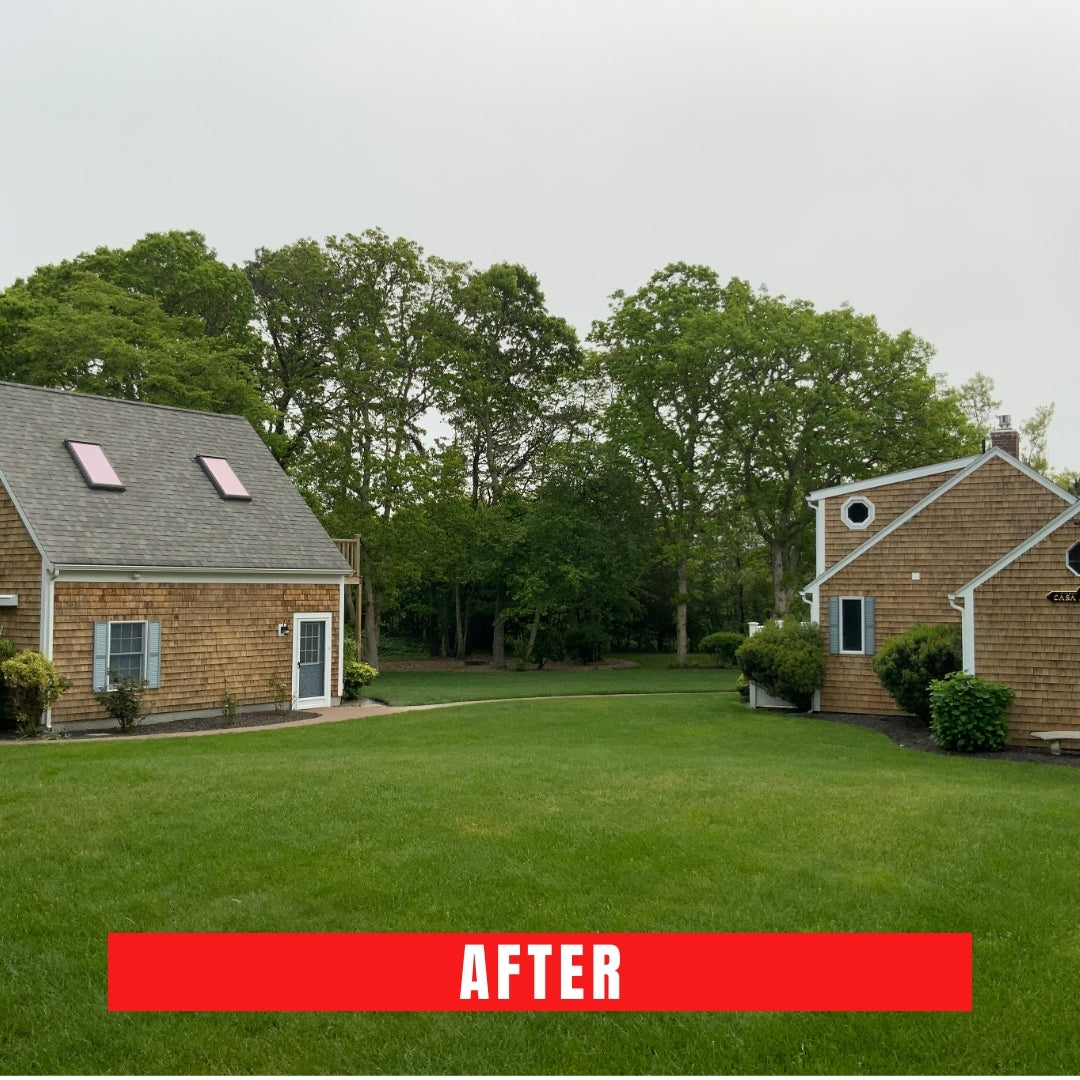 Cedar shingle cleaning Cape Cod,
Shake house cleaning Cape Cod,
Clapboard house washing Cape Cod,
Cape Cod cedar shingle maintenance,
Shake siding cleaning service Cape Cod,
Cedar shingle restoration Cape Cod,
Cape Cod clapboard siding cleaners,
Cedar shake roof cleaning Cape Cod,
Clapboard house pressure washing Cape Cod,
Cape Cod cedar shingle power washing,
Shake shingle house cleaners Cape Cod,
Cedar shingle roof maintenance Cape Cod,
Cape Cod clapboard siding washing,
Cedar shake shingle house cleaning,
Clapboard siding restoration Cape Cod,
Cape Cod cedar shingle soft washing,
Shake shingle roof cleaning Cape Cod,
Cedar shingle siding cleaning service,
Clapboard house exterior cleaning Cape Cod,
Cape Cod cedar shake siding cleaners,
Cedar shake house wash Cape Cod,
Cape Cod clapboard siding maintenance,
Cedar shingle roof washing Cape Cod,
Shake shingle siding cleaning Cape Cod,
Clapboard house power washing Cape Cod,
Cape Cod cedar shingle pressure washing,
Cedar shake siding cleaning Cape Cod,
Cape Cod clapboard house cleaning service,
Cedar shingle house wash Cape Cod,
Shake shingle house washing Cape Cod,
Clapboard siding cleaning Cape Cod,
Cape Cod cedar shingle roof cleaning,
Shake shingle roof washing Cape Cod,
Cedar shingle siding washing Cape Cod,
Clapboard house soft washing Cape Cod,
Cape Cod cedar shake house cleaning,
Cedar shake roof washing Cape Cod,
Cape Cod clapboard siding cleaning service,
Cedar shingle exterior cleaning Cape Cod,
Shake shingle siding washing Cape Cod,
Clapboard house soft wash Cape Cod,
Cape Cod cedar shingle house cleaners,
Shake shingle house cleaning service Cape Cod,
Cedar shingle siding maintenance Cape Cod,
Clapboard house exterior washing Cape Cod,
Cape Cod cedar shake siding washing,
Cedar shake house cleaning service Cape Cod,
Cape Cod clapboard house washing,
Cedar shingle pressure washing Cape Cod,
Shake shingle siding maintenance Cape Cod.