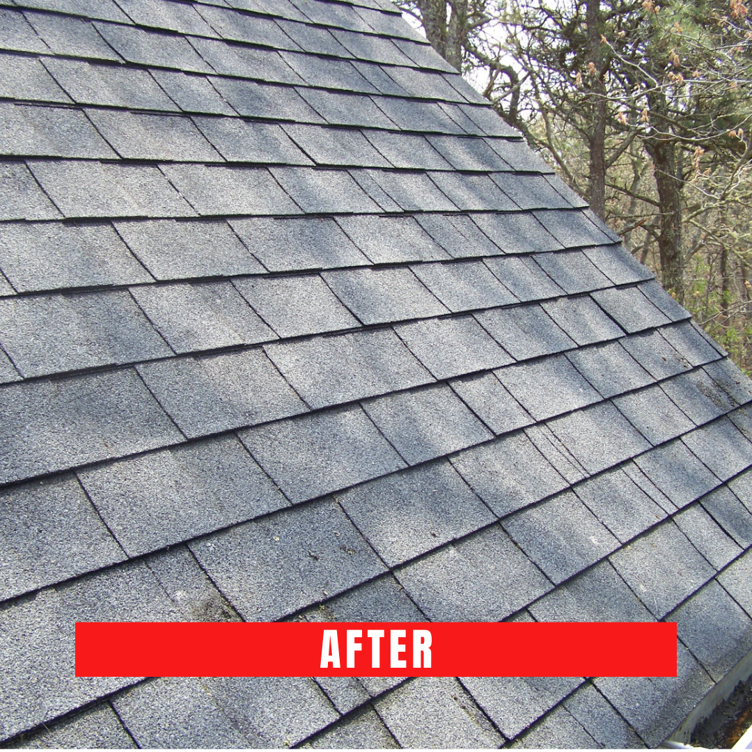 Cape Cod roof cleaning
Roof cleaner Cape Cod
Best roof cleaner in Cape Cod
Cape Cod roof washing
Roof cleaning service Cape Cod
Cape Cod roof cleaning company
Professional roof cleaner Cape Cod
Eco-friendly roof cleaning Cape Cod
Top-rated roof cleaner Cape Cod
Cape Cod roof moss removal
Cedar roof cleaning Cape Cod
Roof and gutter cleaning Cape Cod
Cape Cod roof mold removal
Safe roof cleaning Cape Cod
Best roof washing in Cape Cod
Cape Cod soft roof washing
Cape Cod power roof cleaning
Cape Cod roof stain removal
Roof cleaning contractors Cape Cod
Cape Cod roof maintenance
Affordable roof cleaner Cape Cod
Cape Cod residential roof cleaning
Cape Cod commercial roof cleaner
Roof shingle cleaning Cape Cod
Cape Cod roof algae removal
Cape Cod roof cleaning estimate
Roof cleaner cost Cape Cod
Cape Cod roof pressure washing
Local roof cleaner Cape Cod
Cape Cod roof cleaning specials
Cape Cod roof cleaning reviews
Best roof cleaner service in Cape Cod
Cape Cod roof restoration
Cape Cod exterior roof cleaning
Cape Cod green roof cleaner
Cape Cod roof cleaning deals
Cape Cod roof disinfection
Roof cleaning equipment Cape Cod
Cape Cod roof cleaner consultation
Cape Cod roof cleaning maintenance
Cape Cod roof cleaner expert
Cape Cod roof cleaning solutions
Roof cleaner for hire Cape Cod
Cape Cod roof cleaner professional
Cape Cod roof cleaner near me
Certified roof cleaner Cape Cod
Cape Cod roof cleaner technology
Cape Cod roof cleaner consultation
Cape Cod roof cleaner inspection
Roof cleaner for hire Cape Cod